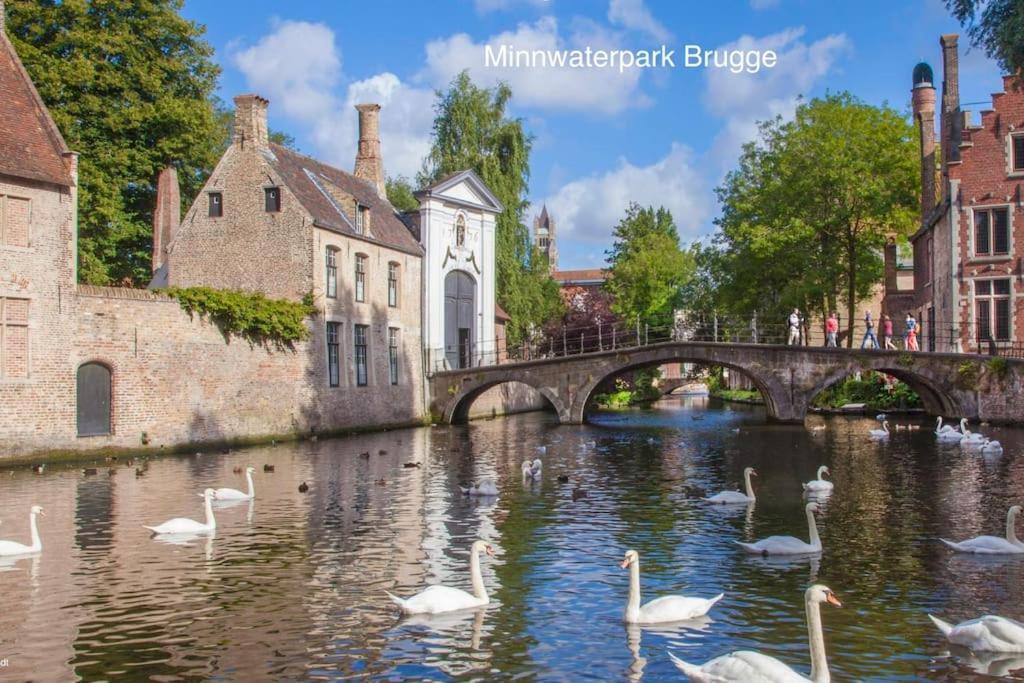 Appartamento Cozb Bruges Esterno foto